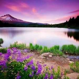 Meet your Posher, Affordable